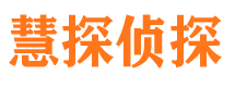 东海岛市调查取证